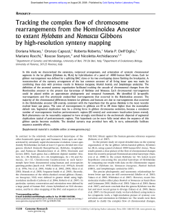 Tracking the complex flow of chromosome rearrangements