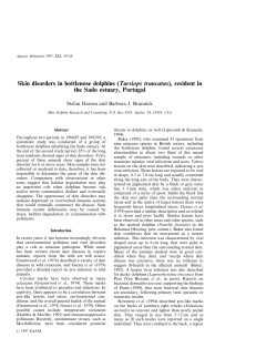 Skin disorders in bottlenose dolphins