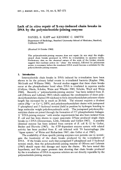 Lack of in vitro repair of X-ray-induced chain breaks in DNA by the