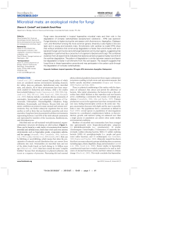 Microbial mats: an ecological niche for fungi