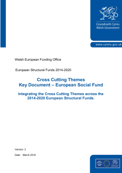 Cross Cutting Themes Key Document &ndash; European Social Fund