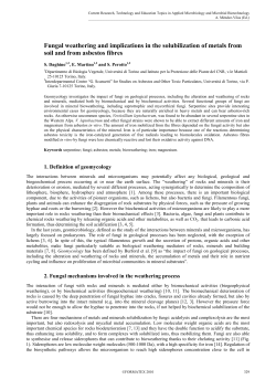 Fungal weathering and implications in the solubilization of metals