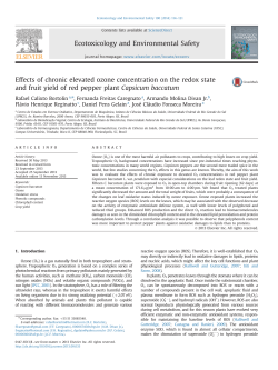 Effects of chronic elevated ozone concentration on the redox state