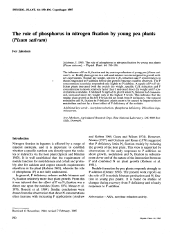 The role of phosphorus in nitrogen fixation by young pea plants