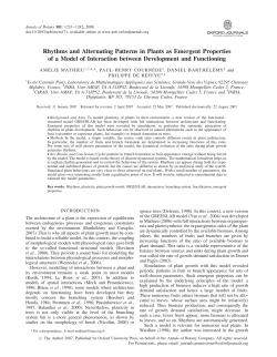Rhythms and Alternating Patterns in Plants as