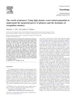 The worth of pictures: Using high density event