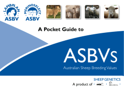 A Pocket Guide to