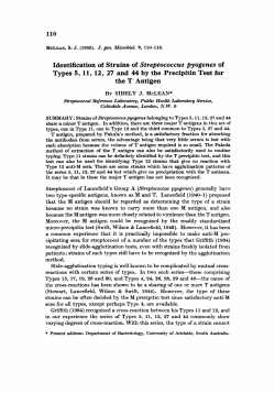 Identification of Strains of Sf reptococcus pyogenes of Types 5, 11