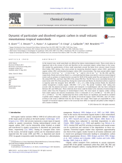 Dynamic of particulate and dissolved organic carbon in small