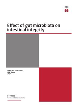 Effect of gut microbiota on intestinal integrity