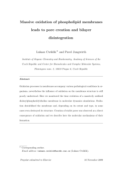Massive oxidation of phospholipid membranes leads to pore