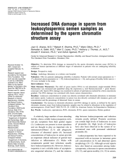 Increased DNA damage in sperm from