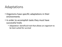 Adaptations and Behavior