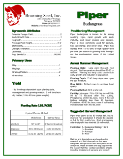 Piper Tech Sheet - Browning Seed, INC.