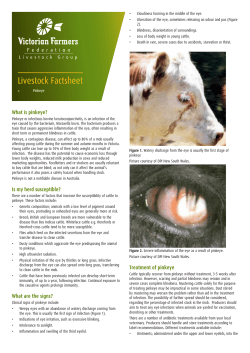 Livestock Factsheet - Victorian Farmers Federation
