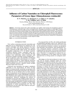 Influence of Carbon Nanotubes on Chlorophyll Fluorescence