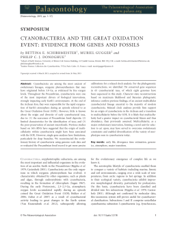 Cyanobacteria and the Great Oxidation Event: evidence from genes