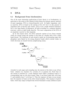 MT3522 Knot Theory 2004/2005 5 DNA 5.1 Background from