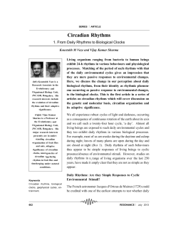 Circadian Rhythms