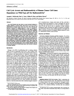 Cell Cycle Arrests and Radiosensitivity of