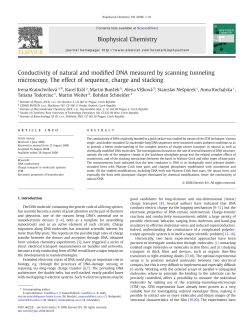 Conductivity of natural and modified DNA measured by scanning