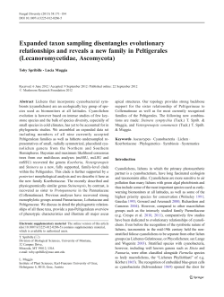 Expanded taxon sampling disentangles evolutionary relationships