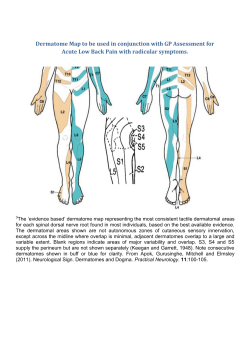 Lower Limb Dermatome Map