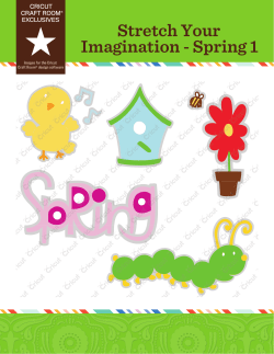 Stretch Your Imagination - Spring 1 - Provo Craft
