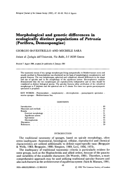 Morphological and genetic differences in ecologically distinct