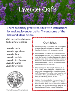 Lavender Crafts - Herb Society of America
