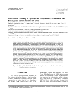 Low Genetic Diversity in Diplomystes camposensis, an Endemic and