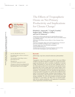 The Effects of Tropospheric Ozone on Net Primary Productivity and