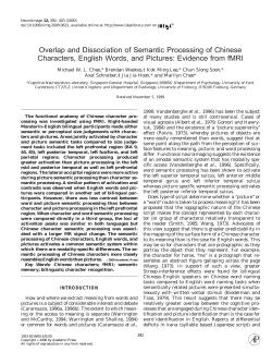 as a PDF