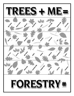 Trees + Me = Forestry - Department of Ecosystem Science and