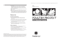 Poultry Project Member Guide