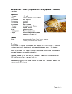 Macaroni and Cheese (adapted from Looneyspoons Cookbook)
