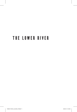 The Lower River