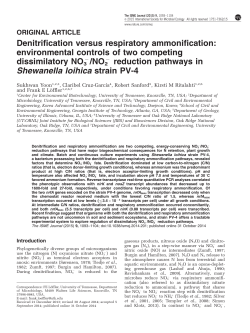 Denitrification versus respiratory ammonification: environmental