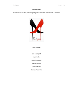 Business Plan Business Idea: Creating and selling a high heel shoe