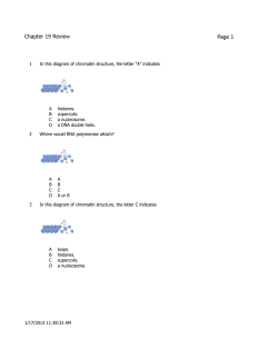 Chapter 19 Review - Blue Valley Schools