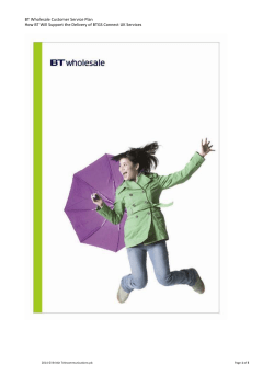 BT Wholesale Customer Service Plan How BT Will Support the