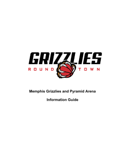 Memphis Grizzlies and Pyramid Arena Information Guide