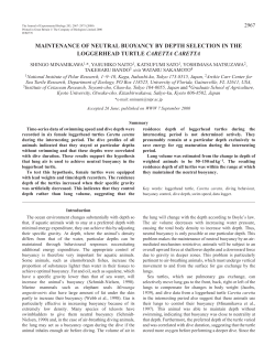 Depth control to maintain neutral buoyancy in sea turtles