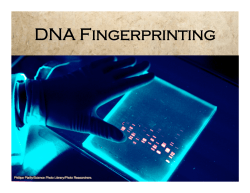 DNA Fingerprinting