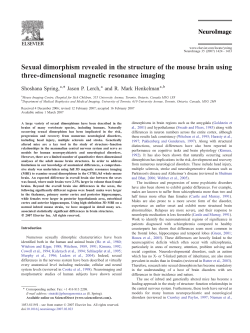 Sexual dimorphism revealed in the structure of the mouse brain