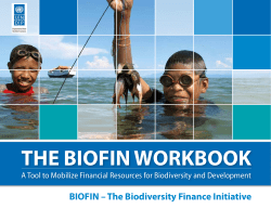 the biofin workbook