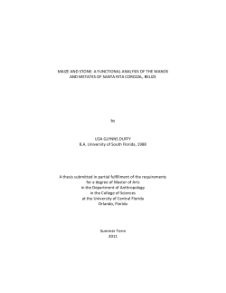 MAIZE AND STONE: A FUNCTIONAL ANALYSIS OF