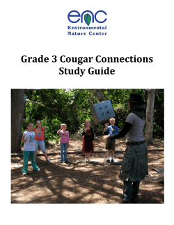 Third Grade Cougar Connections Study Guide