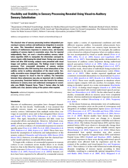 Flexibility and Stability in Sensory Processing
