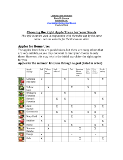 apple choices - Century Farm Orchards